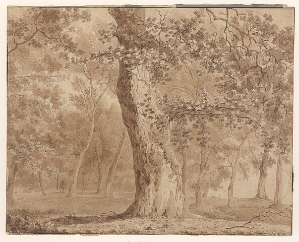 Zeichnung eines Baumes im Wald
