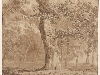 Zeichnung eines Baumes im Wald